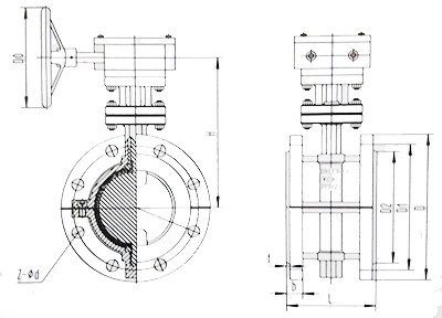 襯氟蝶閥結(jié)構(gòu)示意圖